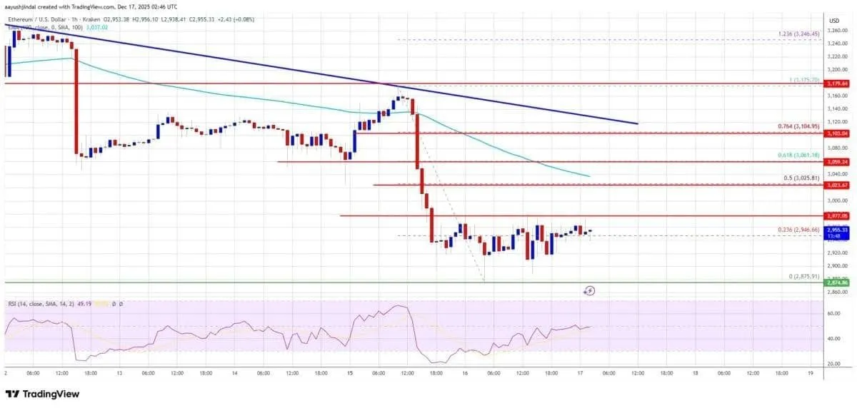 Is Strong Support Finally Forming?